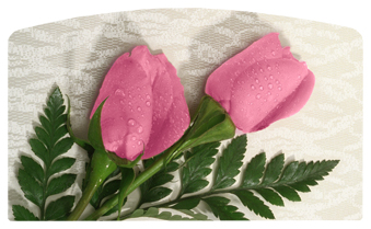 DACRO-054 2 Roses Pink